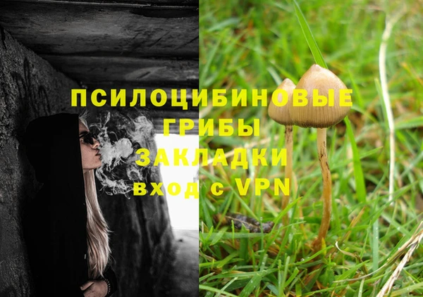дурь Абинск