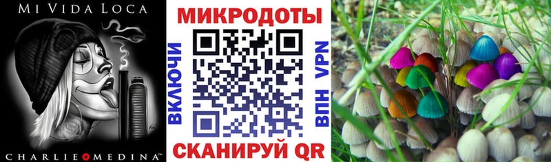 Псилоцибиновые грибы Psilocybine cubensis  Советский 