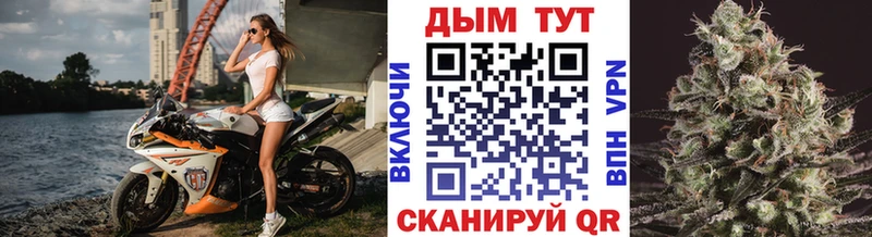 Конопля ГИДРОПОН Советский